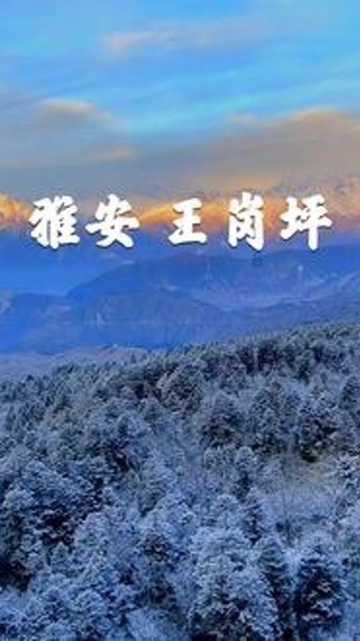 超三国无双2